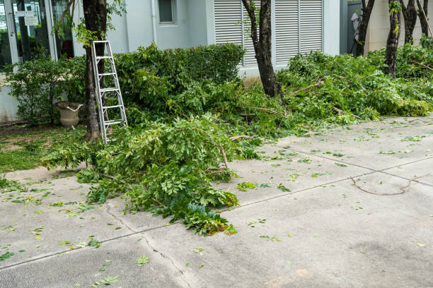 Best Pest Control for Lawns  in Fairview Park, OH
