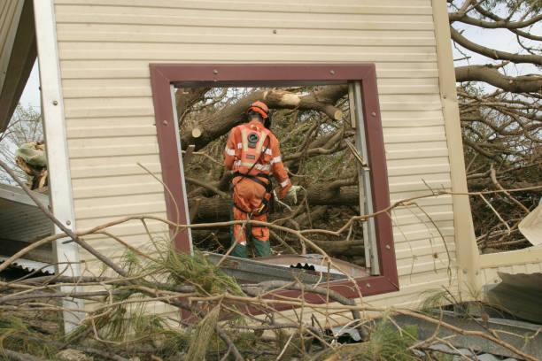 Best Tree Preservation Services  in Fairview Park, OH